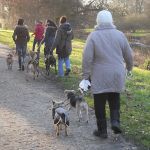 geführter Spaziergang