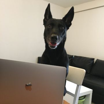 Online Training
